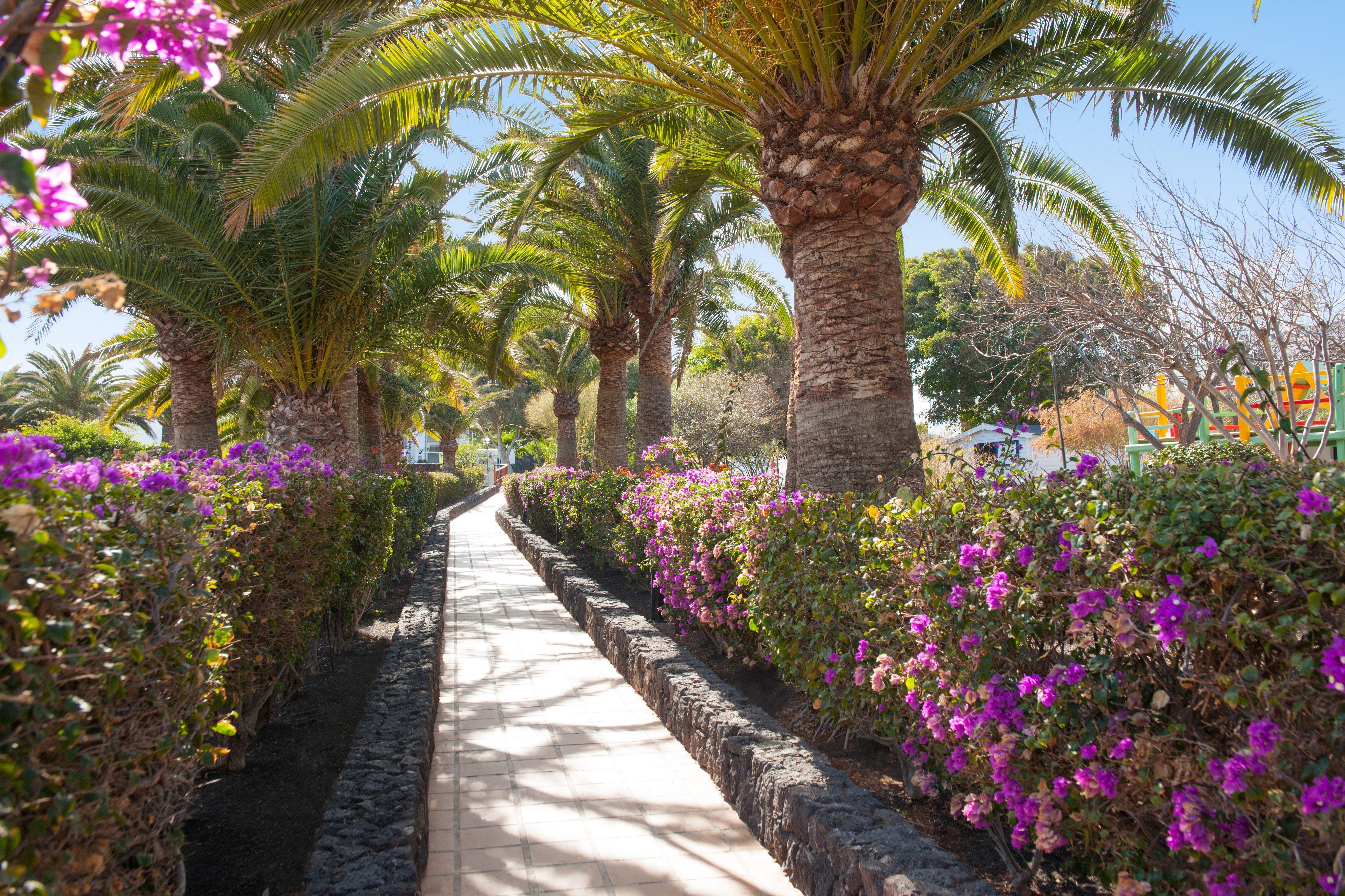 Relaxia Olivina Hotel Puerto del Carmen  Ngoại thất bức ảnh